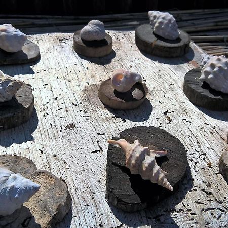 Гостьовий будинок Arcamyrtus Альгеро Екстер'єр фото